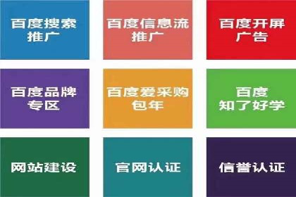 百度竞价运营的挑战与机遇：成功案例探讨
